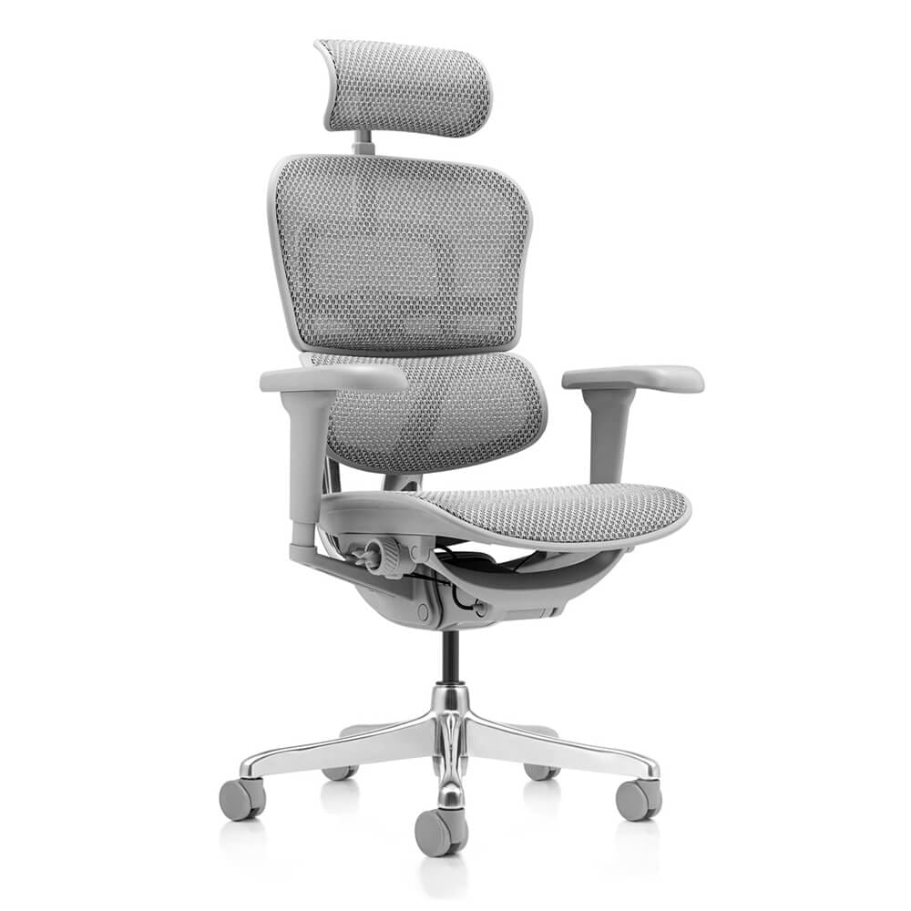 เก้าอี้เพื่อสุขภาพ DF PROCHAIR รุ่น Ergo Elite Ultra สีเทา